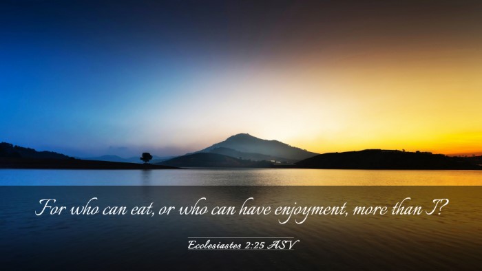 Picture 03 - Ecclesiastes 2:25 ASV Desktop Wallpaper - For who can eat, or who can have enjoyment, more - Desktop Bible Verse Wallpaper