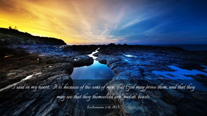 Picture 03 - Ecclesiastes 3:18 ASV Desktop Wallpaper - I said in my heart, `It is' because of the sons - Desktop Bible Verse Wallpaper