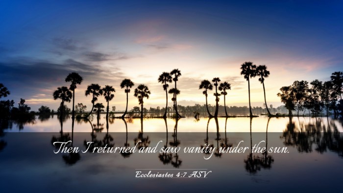 Picture 03 - Ecclesiastes 4:7 ASV Desktop Wallpaper - Then I returned and saw vanity under the - Desktop Bible Verse Wallpaper