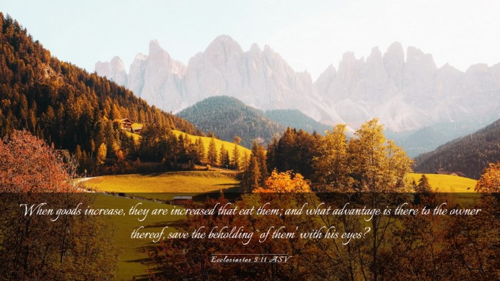 Picture 03 - Ecclesiastes 5:11 ASV Desktop Wallpaper - When goods increase, they are increased that eat - Desktop Bible Verse Wallpaper