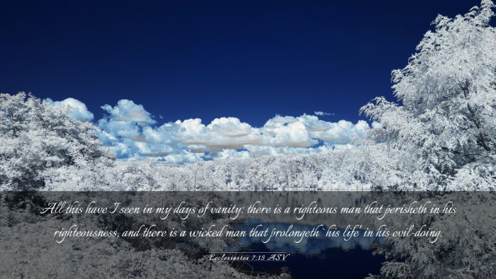 Picture 03 - Ecclesiastes 7:15 ASV Desktop Wallpaper - All this have I seen in my days of vanity: there - Desktop Bible Verse Wallpaper