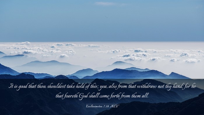 Picture 03 - Ecclesiastes 7:18 ASV Desktop Wallpaper - It is good that thou shouldest take hold of this; - Desktop Bible Verse Wallpaper