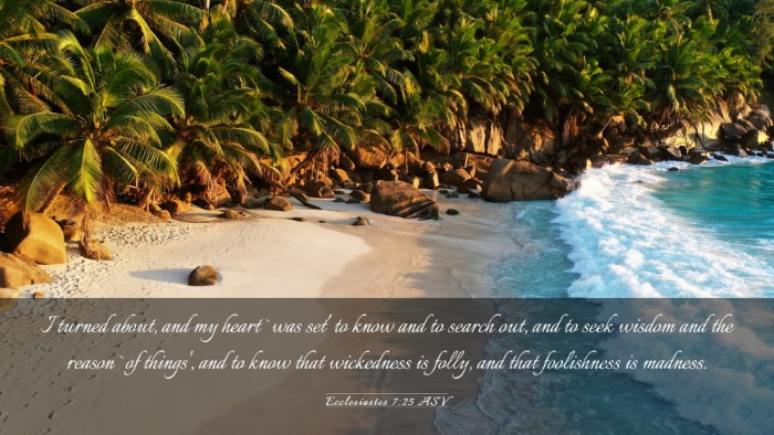 Picture 03 - Ecclesiastes 7:25 ASV Desktop Wallpaper - I turned about, and my heart `was set' to know - Desktop Bible Verse Wallpaper