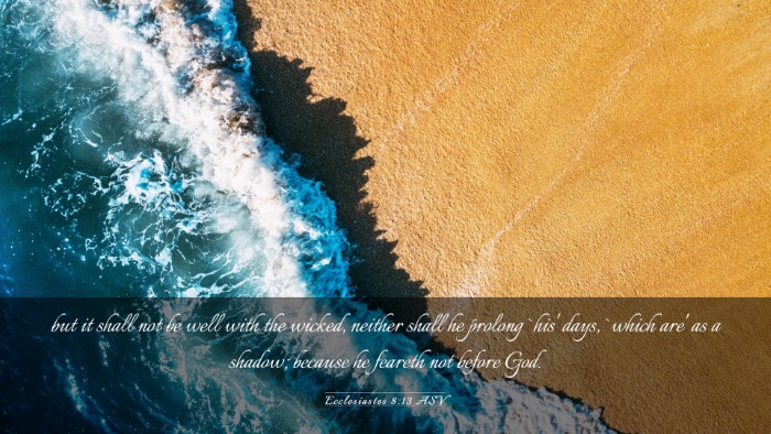 Picture 03 - Ecclesiastes 8:13 ASV Desktop Wallpaper - but it shall not be well with the wicked, neither - Desktop Bible Verse Wallpaper