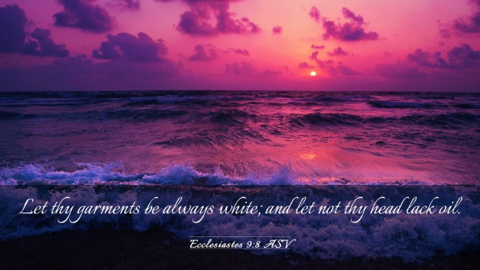Picture 03 - Ecclesiastes 9:8 ASV Desktop Wallpaper - Let thy garments be always white; and let not thy - Desktop Bible Verse Wallpaper