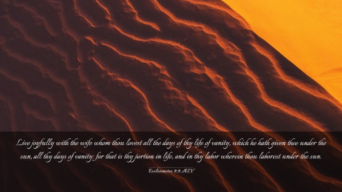 Picture 03 - Ecclesiastes 9:9 ASV Desktop Wallpaper - Live joyfully with the wife whom thou lovest all - Desktop Bible Verse Wallpaper