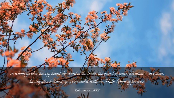 Picture 03 - Ephesians 1:13 ASV Desktop Wallpaper - in whom ye also, having heard the word of the - Desktop Bible Verse Wallpaper