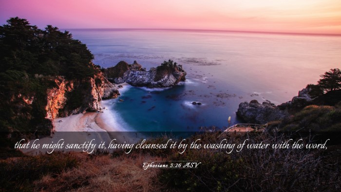 Picture 03 - Ephesians 5:26 ASV Desktop Wallpaper - that he might sanctify it, having cleansed it by - Desktop Bible Verse Wallpaper