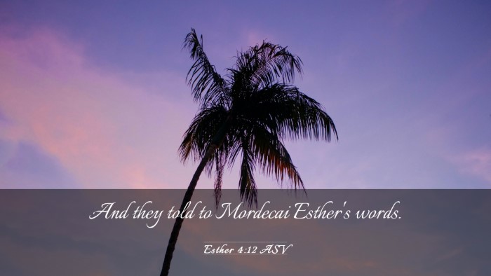 Picture 03 - Esther 4:12 ASV Desktop Wallpaper - And they told to Mordecai Esther's - Desktop Bible Verse Wallpaper