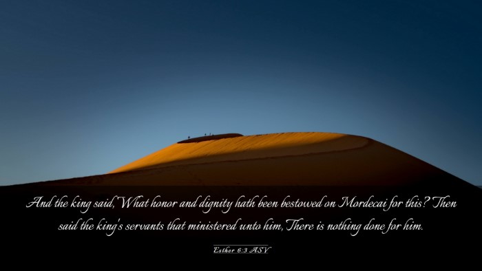 Picture 03 - Esther 6:3 ASV Desktop Wallpaper - And the king said, What honor and dignity hath - Desktop Bible Verse Wallpaper