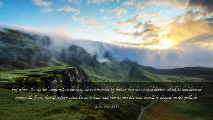 Picture 03 - Esther 9:25 ASV Desktop Wallpaper - but when `the matter' came before the king, he - Desktop Bible Verse Wallpaper
