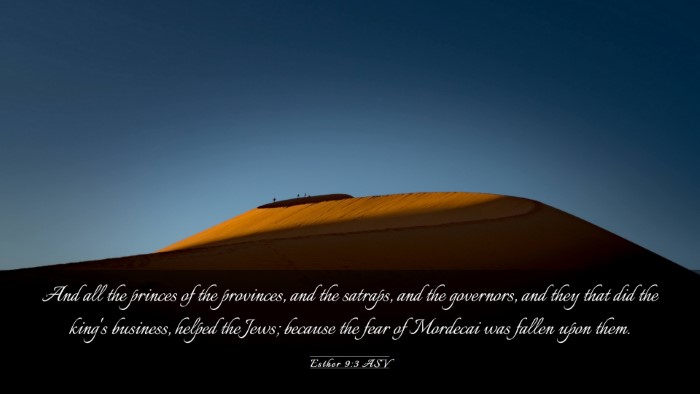Picture 03 - Esther 9:3 ASV Desktop Wallpaper - And all the princes of the provinces, and the - Desktop Bible Verse Wallpaper