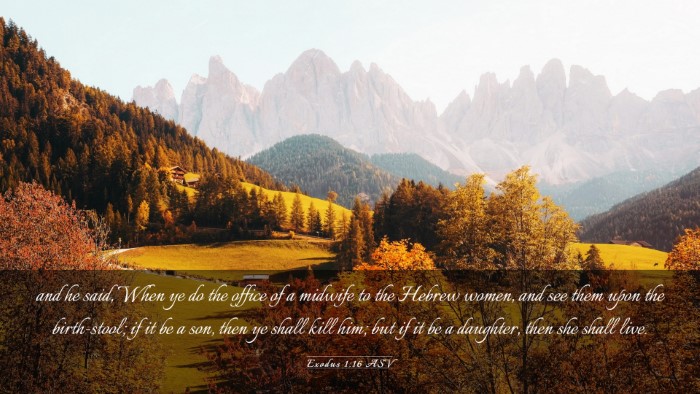 Picture 03 - Exodus 1:16 ASV Desktop Wallpaper - and he said, When ye do the office of a midwife - Desktop Bible Verse Wallpaper