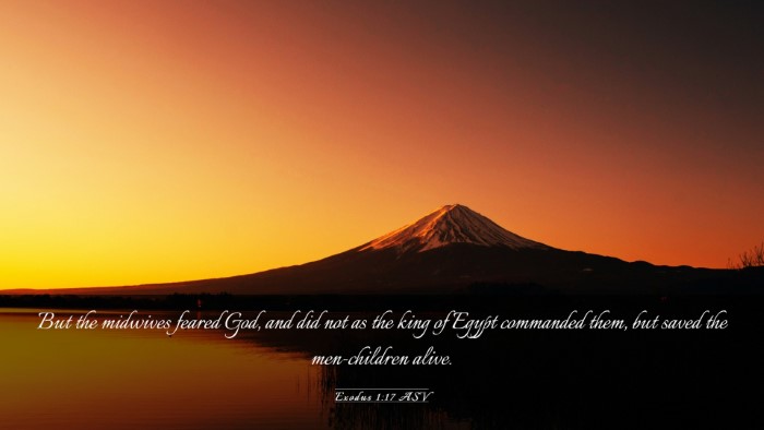 Picture 03 - Exodus 1:17 ASV Desktop Wallpaper - But the midwives feared God, and did not as the - Desktop Bible Verse Wallpaper