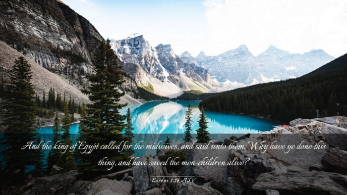 Picture 03 - Exodus 1:18 ASV Desktop Wallpaper - And the king of Egypt called for the midwives, - Desktop Bible Verse Wallpaper