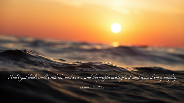 Picture 03 - Exodus 1:20 ASV Desktop Wallpaper - And God dealt well with the midwives: and the - Desktop Bible Verse Wallpaper
