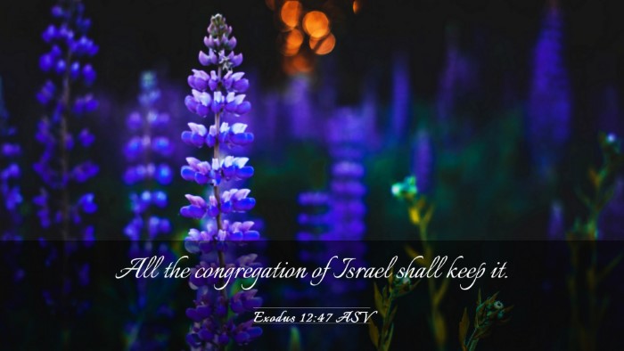 Picture 03 - Exodus 12:47 ASV Desktop Wallpaper - All the congregation of Israel shall keep - Desktop Bible Verse Wallpaper