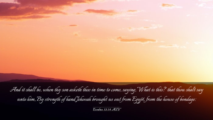 Picture 03 - Exodus 13:14 ASV Desktop Wallpaper - And it shall be, when thy son asketh thee in time - Desktop Bible Verse Wallpaper