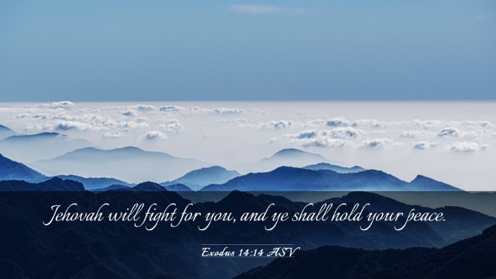 Picture 03 - Exodus 14:14 ASV Desktop Wallpaper - Jehovah will fight for you, and ye shall hold - Desktop Bible Verse Wallpaper