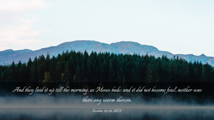 Picture 03 - Exodus 16:24 ASV Desktop Wallpaper - And they laid it up till the morning, as Moses - Desktop Bible Verse Wallpaper