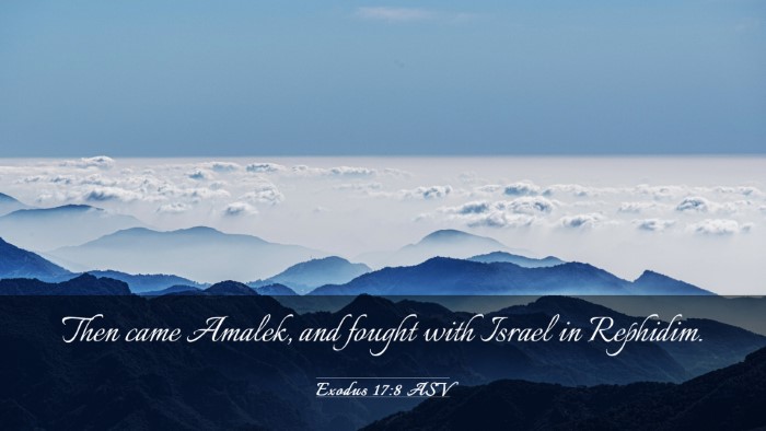 Picture 03 - Exodus 17:8 ASV Desktop Wallpaper - Then came Amalek, and fought with Israel in - Desktop Bible Verse Wallpaper
