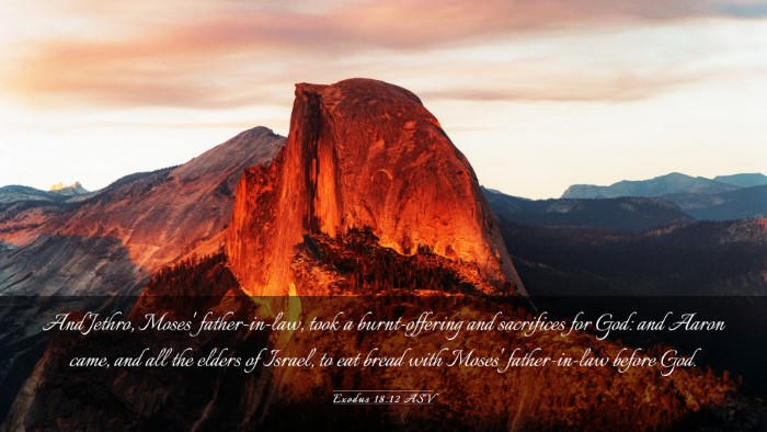 Picture 03 - Exodus 18:12 ASV Desktop Wallpaper - And Jethro, Moses' father-in-law, took a - Desktop Bible Verse Wallpaper