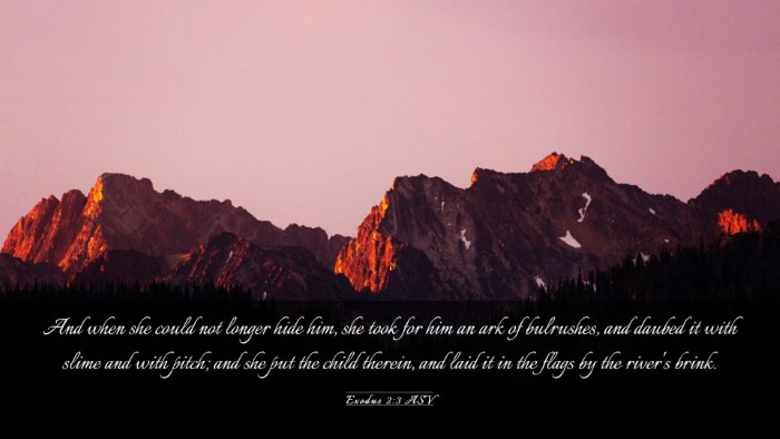 Picture 03 - Exodus 2:3 ASV Desktop Wallpaper - And when she could not longer hide him, she took - Desktop Bible Verse Wallpaper