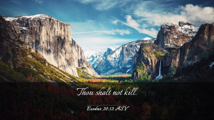 Picture 03 - Exodus 20:13 ASV Desktop Wallpaper - Thou shalt not - Desktop Bible Verse Wallpaper