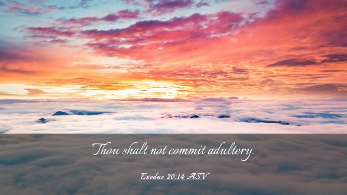Picture 03 - Exodus 20:14 ASV Desktop Wallpaper - Thou shalt not commit - Desktop Bible Verse Wallpaper
