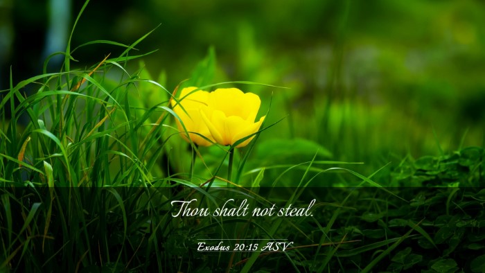 Picture 03 - Exodus 20:15 ASV Desktop Wallpaper - Thou shalt not - Desktop Bible Verse Wallpaper