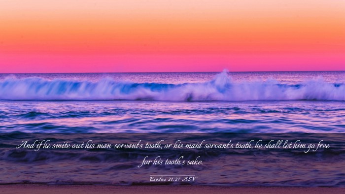 Picture 03 - Exodus 21:27 ASV Desktop Wallpaper - And if he smite out his man-servant's tooth, or - Desktop Bible Verse Wallpaper