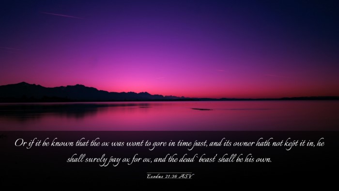 Picture 03 - Exodus 21:36 ASV Desktop Wallpaper - Or if it be known that the ox was wont to gore in - Desktop Bible Verse Wallpaper