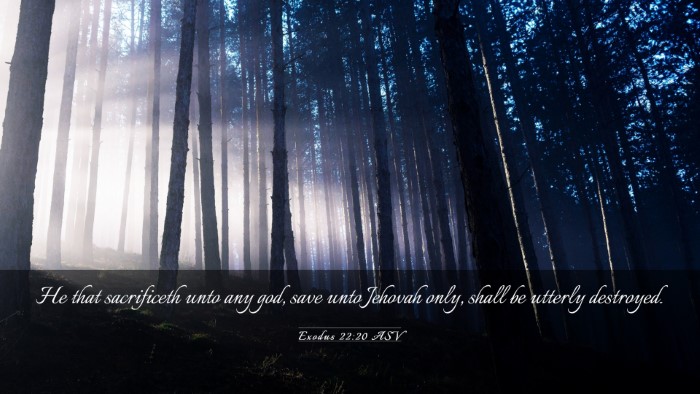 Picture 03 - Exodus 22:20 ASV Desktop Wallpaper - He that sacrificeth unto any god, save unto - Desktop Bible Verse Wallpaper