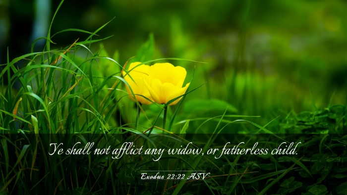 Picture 03 - Exodus 22:22 ASV Desktop Wallpaper - Ye shall not afflict any widow, or fatherless - Desktop Bible Verse Wallpaper