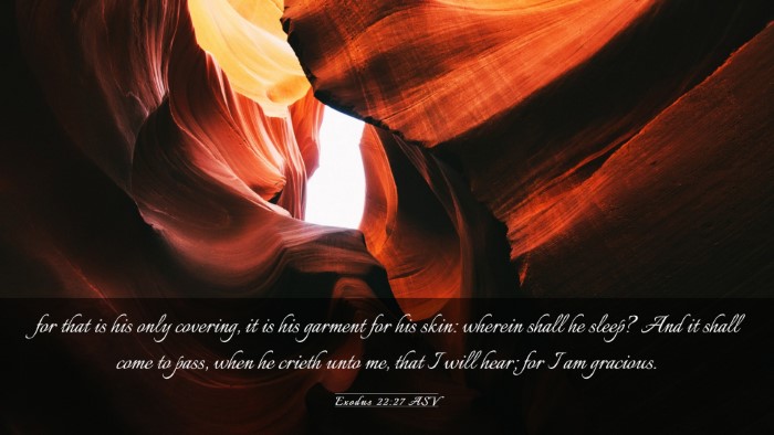 Picture 03 - Exodus 22:27 ASV Desktop Wallpaper - for that is his only covering, it is his garment - Desktop Bible Verse Wallpaper