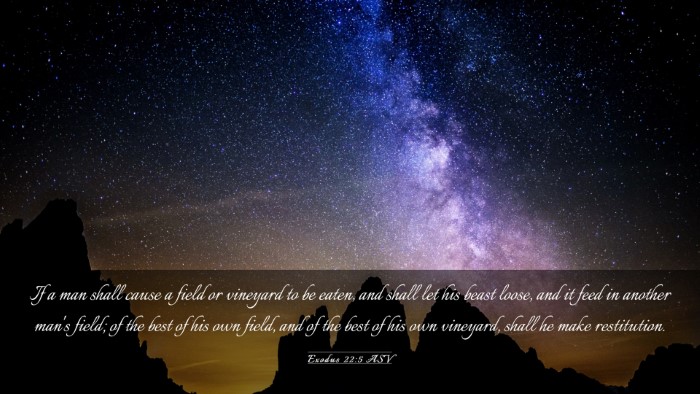 Picture 03 - Exodus 22:5 ASV Desktop Wallpaper - If a man shall cause a field or vineyard to be - Desktop Bible Verse Wallpaper