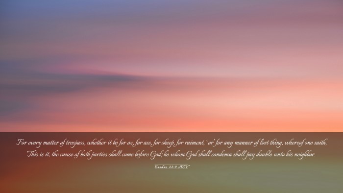 Picture 03 - Exodus 22:9 ASV Desktop Wallpaper - For every matter of trespass, whether it be for - Desktop Bible Verse Wallpaper