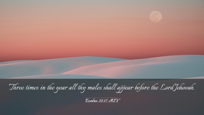 Picture 03 - Exodus 23:17 ASV Desktop Wallpaper - Three times in the year all thy males shall - Desktop Bible Verse Wallpaper