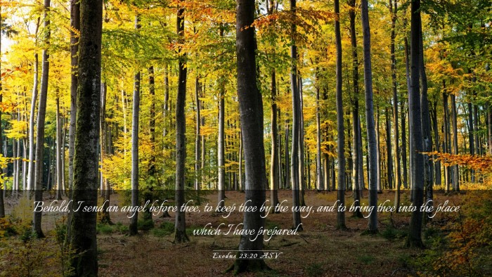 Picture 03 - Exodus 23:20 ASV Desktop Wallpaper - Behold, I send an angel before thee, to keep thee - Desktop Bible Verse Wallpaper