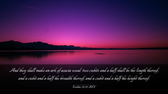 Picture 03 - Exodus 25:10 ASV Desktop Wallpaper - And they shall make an ark of acacia wood: two - Desktop Bible Verse Wallpaper
