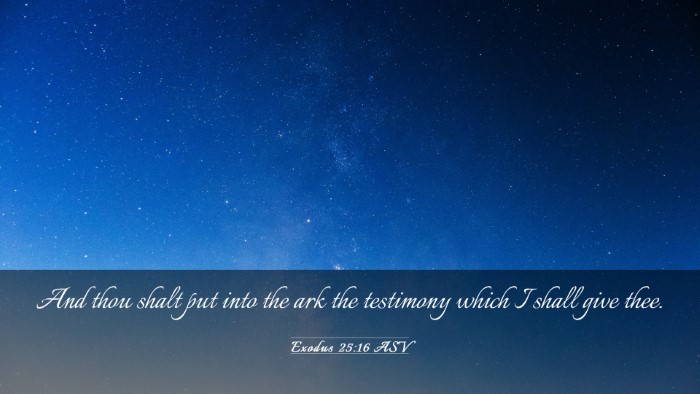 Picture 03 - Exodus 25:16 ASV Desktop Wallpaper - And thou shalt put into the ark the testimony - Desktop Bible Verse Wallpaper