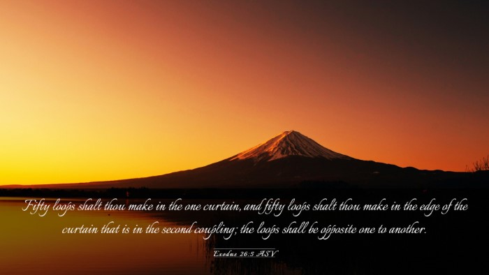 Picture 03 - Exodus 26:5 ASV Desktop Wallpaper - Fifty loops shalt thou make in the one curtain, - Desktop Bible Verse Wallpaper