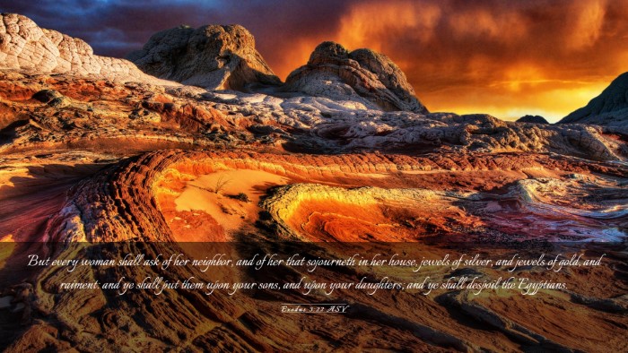 Picture 03 - Exodus 3:22 ASV Desktop Wallpaper - But every woman shall ask of her neighbor, and of - Desktop Bible Verse Wallpaper