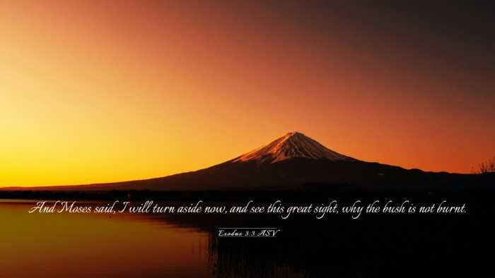 Picture 03 - Exodus 3:3 ASV Desktop Wallpaper - And Moses said, I will turn aside now, and see - Desktop Bible Verse Wallpaper