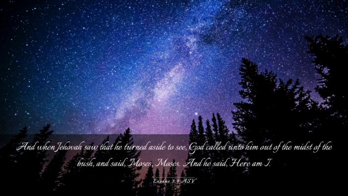 Picture 03 - Exodus 3:4 ASV Desktop Wallpaper - And when Jehovah saw that he turned aside to see, - Desktop Bible Verse Wallpaper