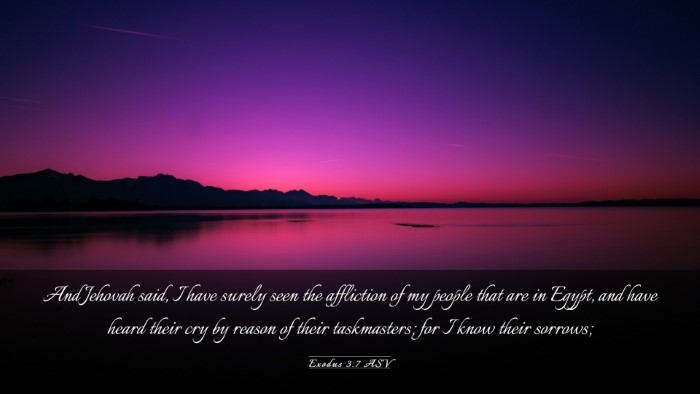Picture 03 - Exodus 3:7 ASV Desktop Wallpaper - And Jehovah said, I have surely seen the - Desktop Bible Verse Wallpaper