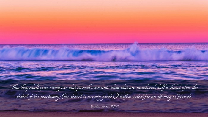 Picture 03 - Exodus 30:13 ASV Desktop Wallpaper - This they shall give, every one that passeth over - Desktop Bible Verse Wallpaper