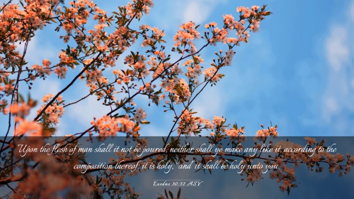 Picture 03 - Exodus 30:32 ASV Desktop Wallpaper - Upon the flesh of man shall it not be poured, - Desktop Bible Verse Wallpaper