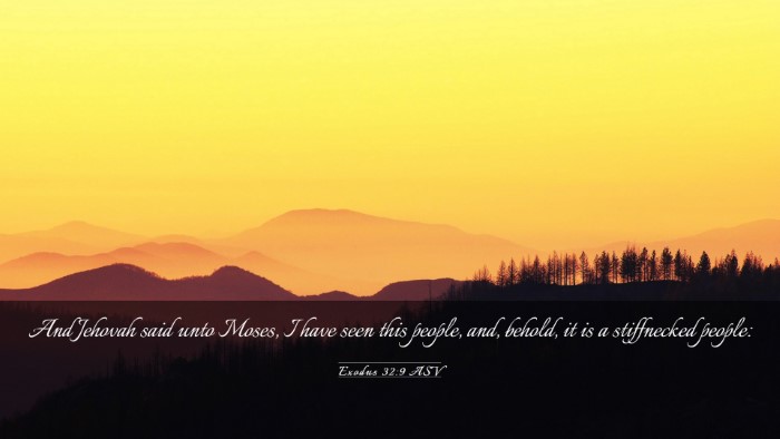 Picture 03 - Exodus 32:9 ASV Desktop Wallpaper - And Jehovah said unto Moses, I have seen this - Desktop Bible Verse Wallpaper