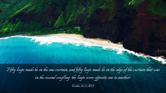 Picture 03 - Exodus 36:12 ASV Desktop Wallpaper - Fifty loops made he in the one curtain, and fifty - Desktop Bible Verse Wallpaper